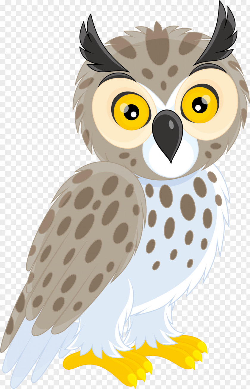 Vector Owl Long-eared Short-eared Clip Art PNG