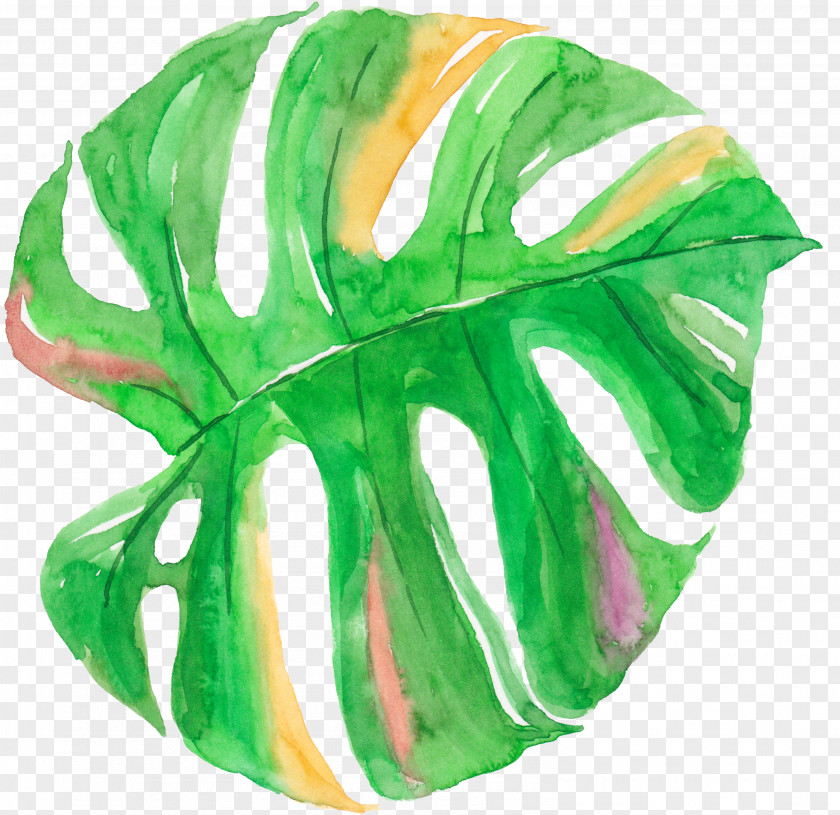 Watercolor Palm Leaf Painting Canvas PNG