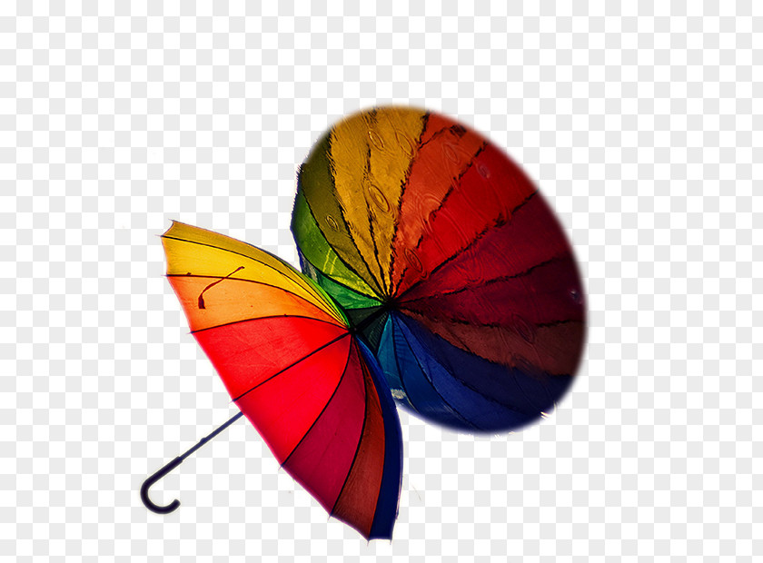 And Reflection Rainbow Umbrella When It Rains Painting Auringonvarjo Rain PNG