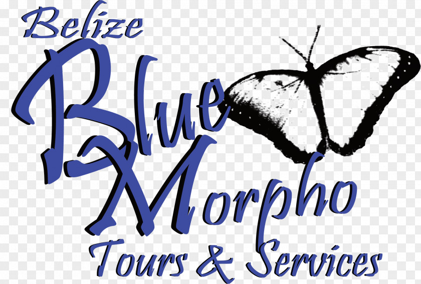 Belize Blue Morpho Tours And Services Ayahuasca Center Zoo Maya Civilization Xunantunich PNG
