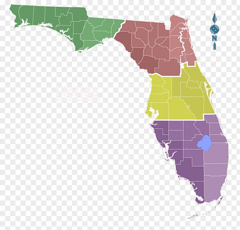 Florida Vector Map Royalty-free PNG