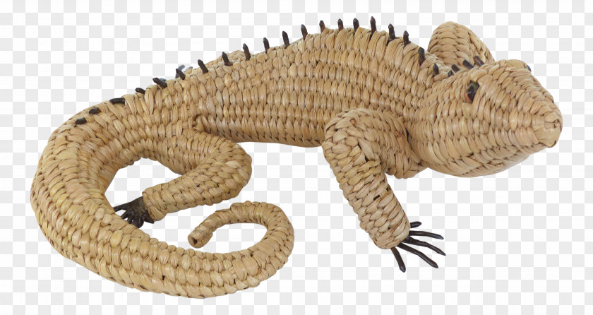Iguana Reptile Terrestrial Animal PNG