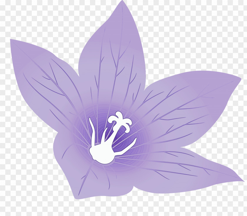 Lavender PNG