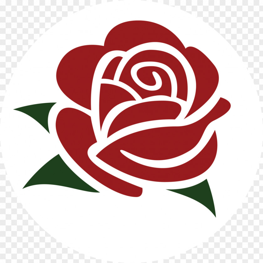 Rose Vector Democratic Socialism Socialist Party Of America USA PNG