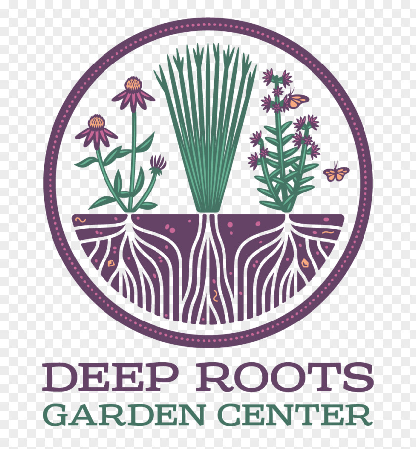 Tree Deep Roots Garden Center Woody Warehouse Nursery PNG