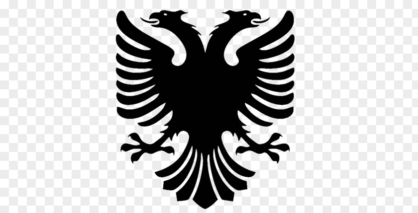 Double Headed Eagle Flag Of Albania T-shirt Double-headed Albanian Language PNG