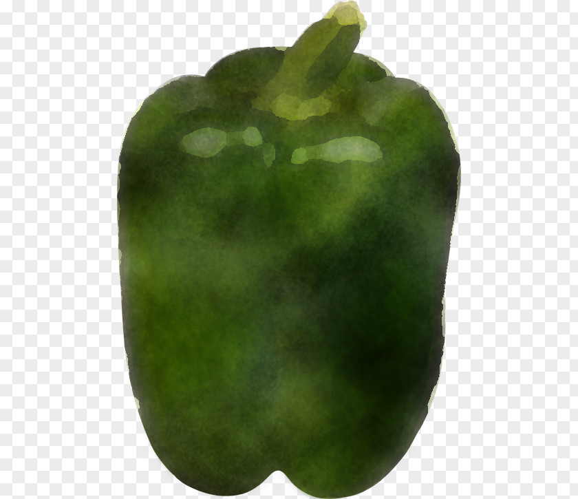 Food Leaf Bell Pepper Green Capsicum Pimiento PNG