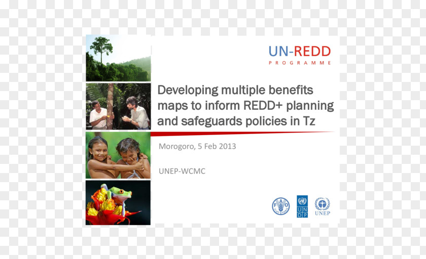 Forest Reducing Emissions From Deforestation And Degradation United Nations REDD Programme PNG