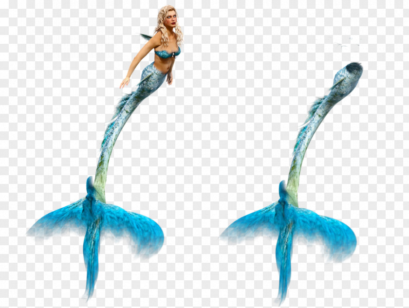 Mermaid Ariel Tail PNG
