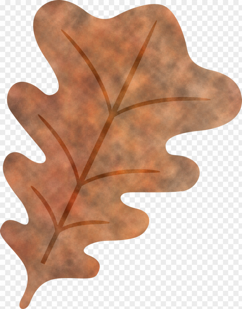 Oak Leaf PNG