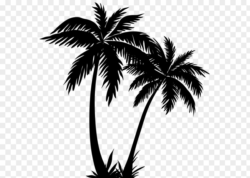 Silhouette Arecaceae Clip Art PNG