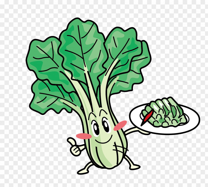 Vector Cabbage Leaves Leaf Vegetable Bok Choy Clip Art PNG