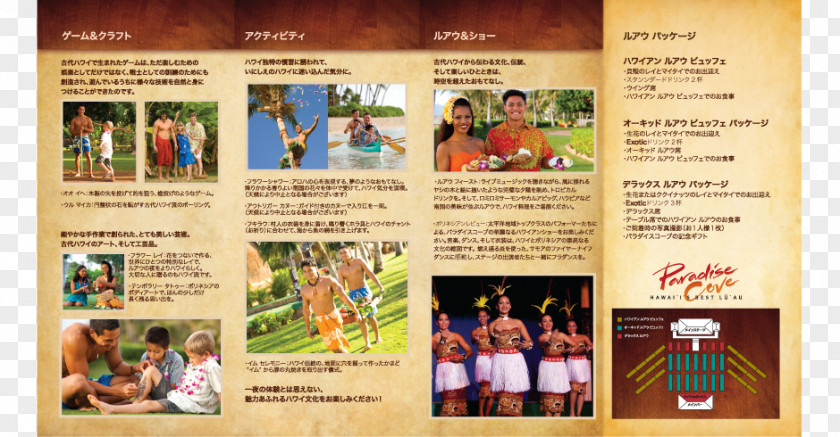 Ad Agency Pamphlet Team Vision Marketing Advertising Paradise Cove Luau PNG