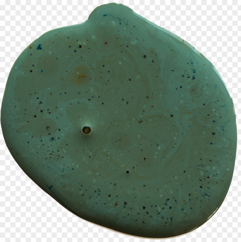 Boxwood Turquoise Organism PNG