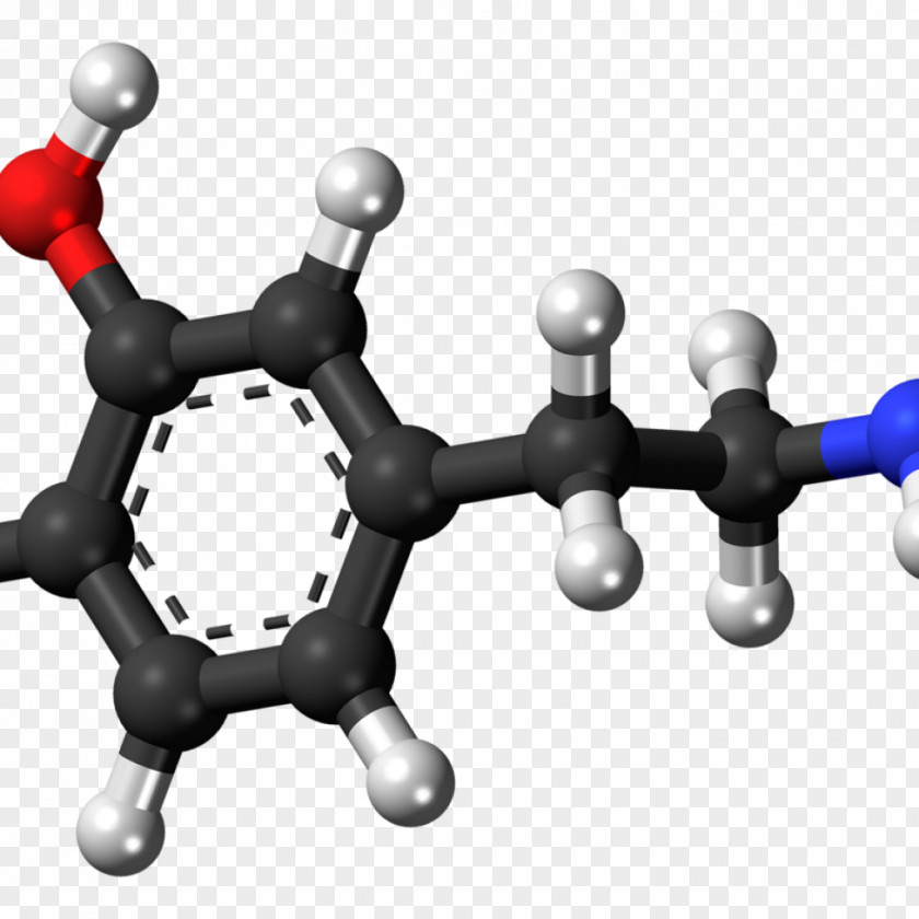 Chemical Compound N-Methylphenethylamine Trace Amine Chemistry Aromatic L-amino Acid Decarboxylase PNG