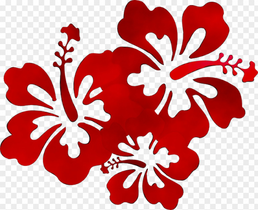 Hawaii Borders And Frames Clip Art Luau Flower Designs PNG