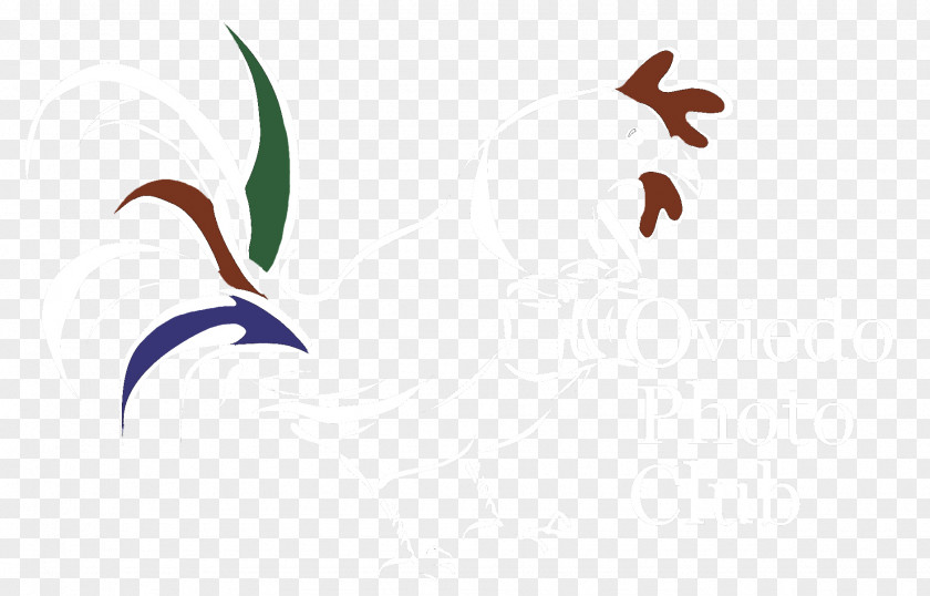 Bird Beak Water Font PNG