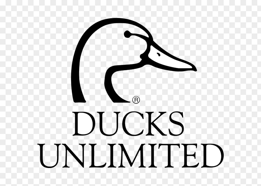 Duck Ducks Unlimited Logo Water Bird Goose PNG