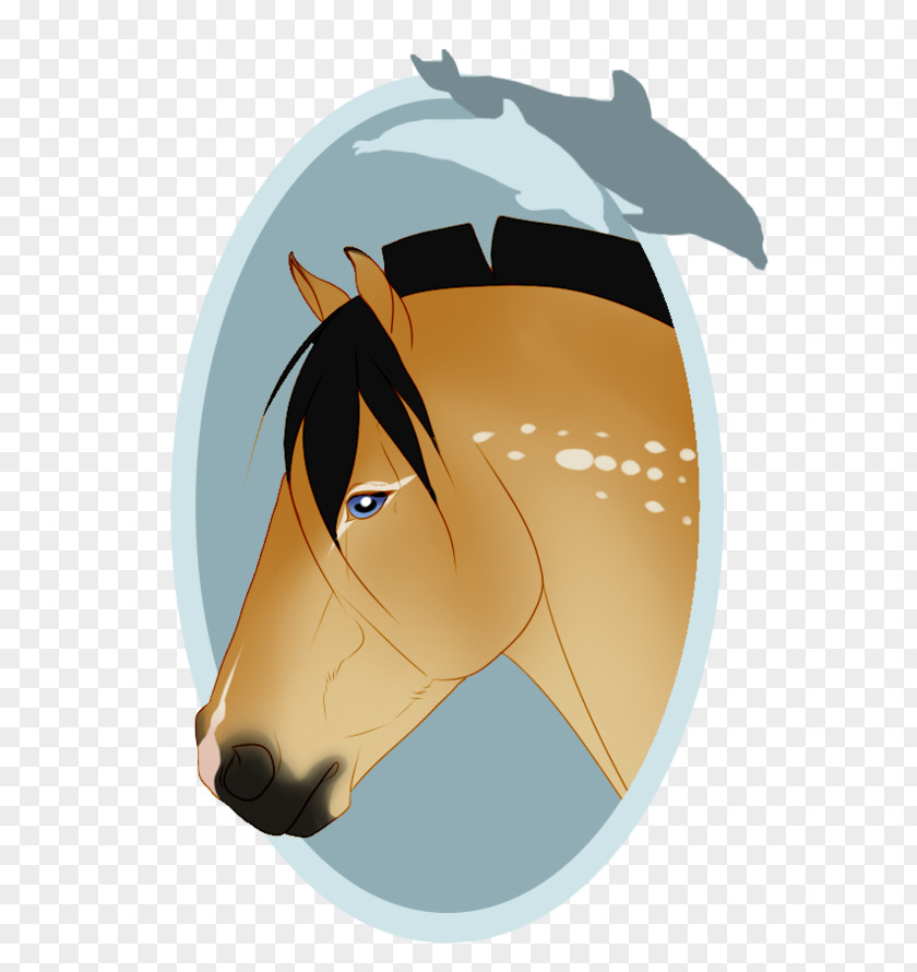 Horse Nose Clip Art PNG