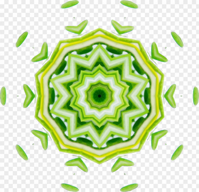 Plant Symmetry Green Leaf Background PNG