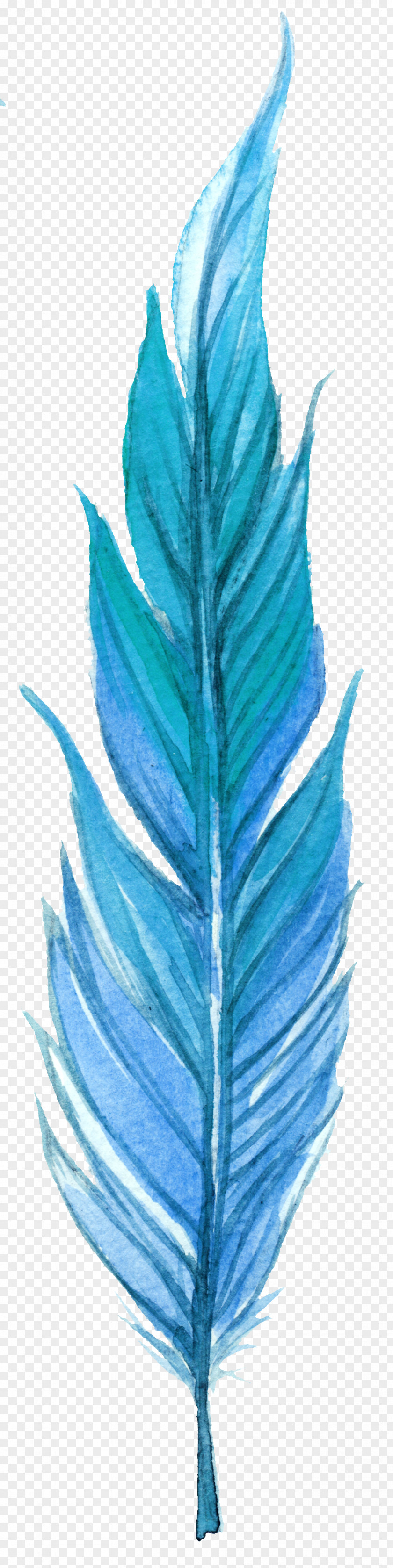 Blue Feather Leaves Leaf Orange Plumage PNG