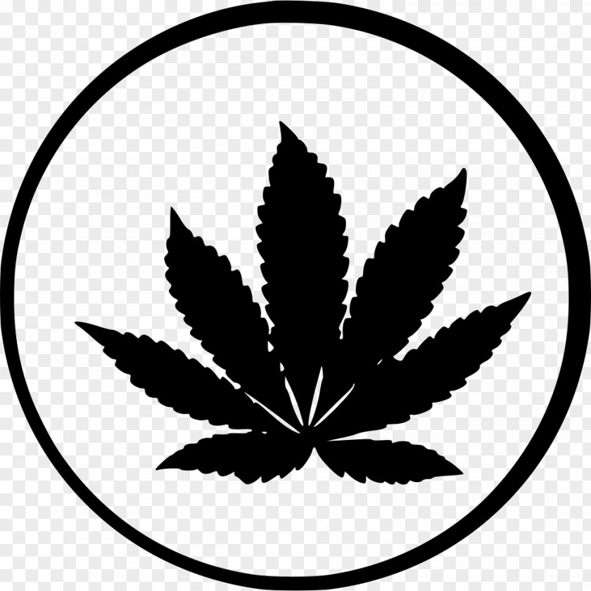 Cannabis Ruderalis Sativa Cultivation Kush PNG
