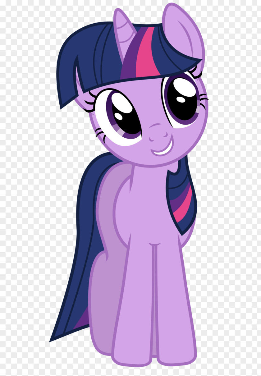 Sparkle Vector Twilight Rainbow Dash Pinkie Pie Rarity My Little Pony: Friendship Is Magic Fandom PNG