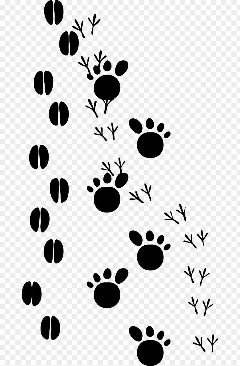 Cat Paw Animal Track Footprint Print Clip Art PNG