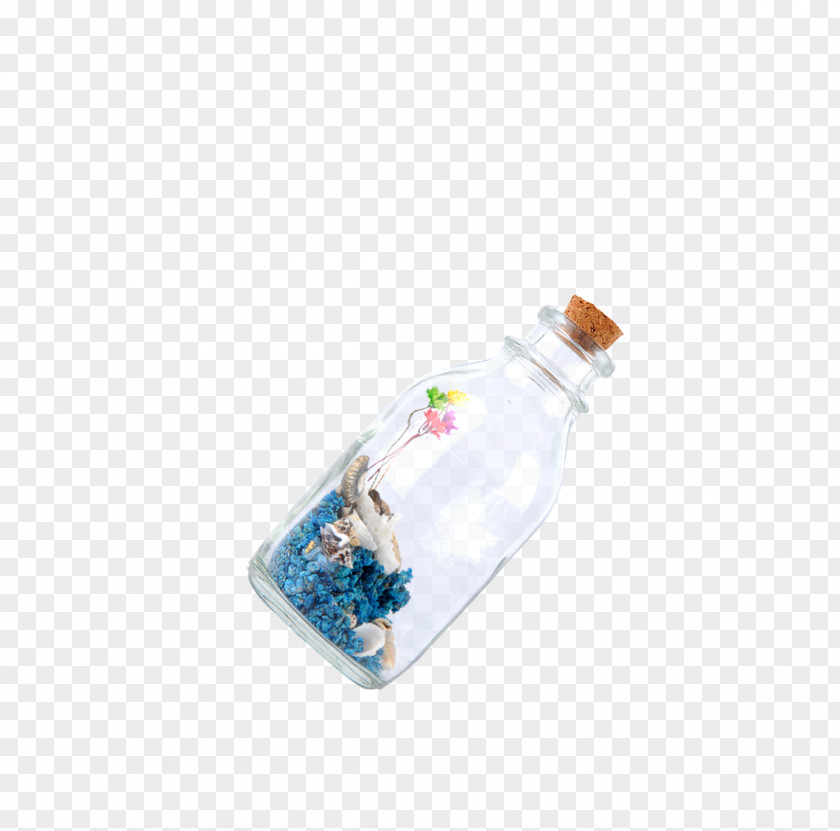 Drifting Bottle Coral Reef Icon PNG