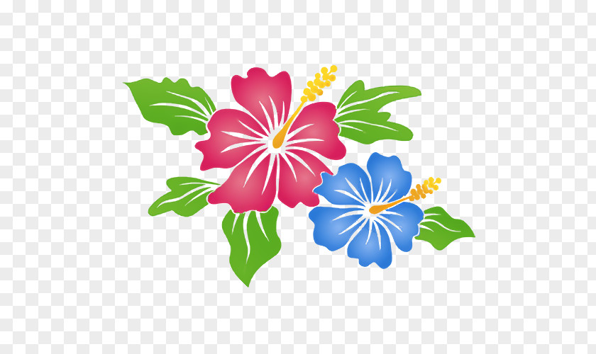 Floral Design PNG