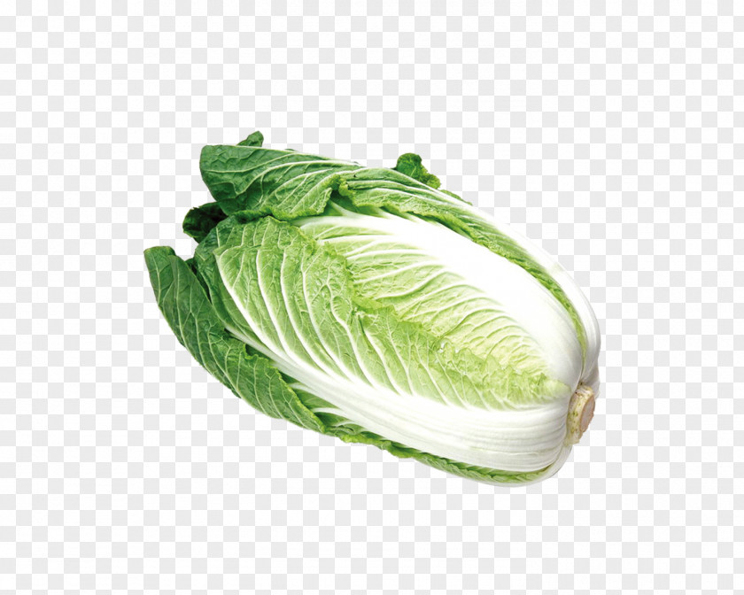 Green Cabbage Chinese Cuisine Fast Food Vegetable Salad PNG