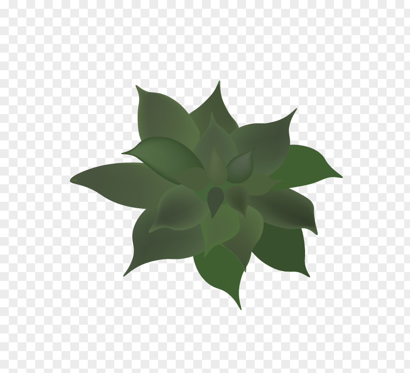 Leaf Flower PNG