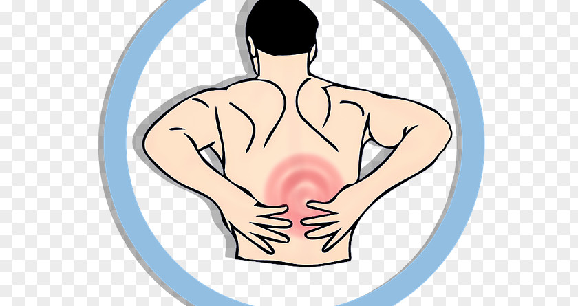 Health Low Back Pain Human Injury Middle Spinal Disc Herniation PNG