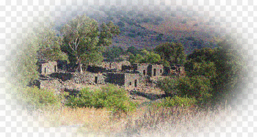 Nazareth Golan Heights Photography Stock.xchng History PNG