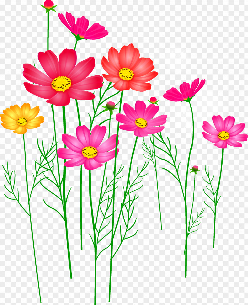 Chrysanthemum Microsoft PowerPoint Flower Template Presentation Slide PNG