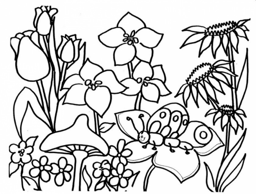 Get Well Images Free Coloring Book Ruth Heller's Animals Flower Adult Child PNG