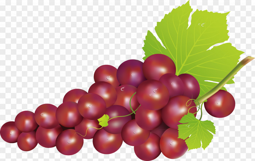 Grape Decoration Design Seedless Fruit Food PNG