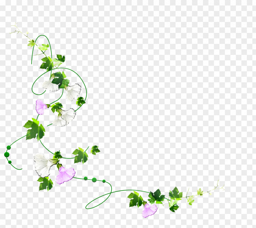 Leaf Green Vine Floral Design Clip Art PNG