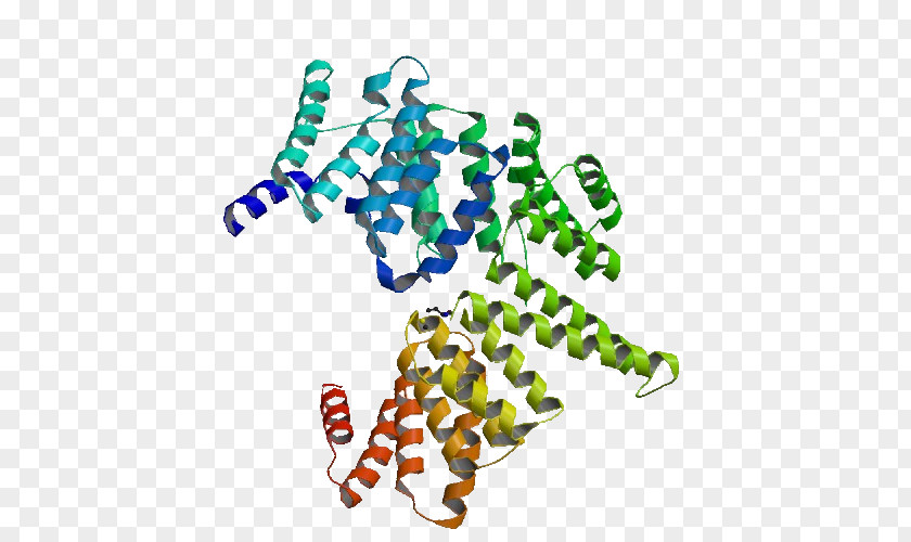 Protein RecA SOS Response Molecular Biology PNG
