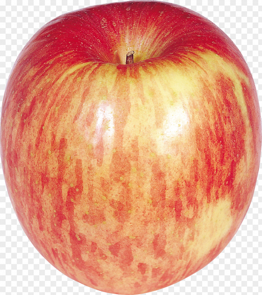 Red Apple Clip Art PNG