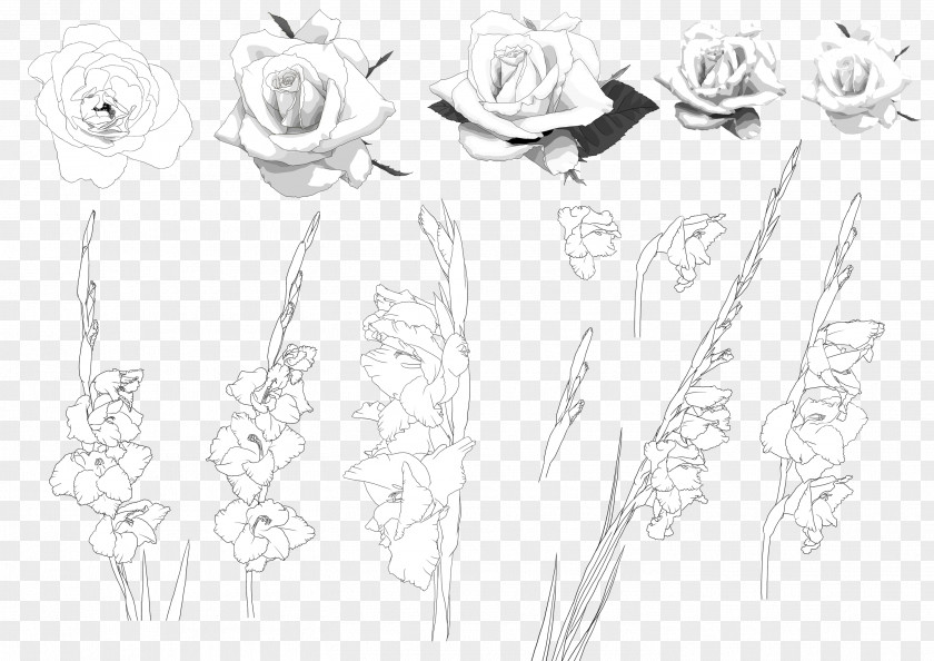 Vector Plant Orchids Floral Design Image PNG