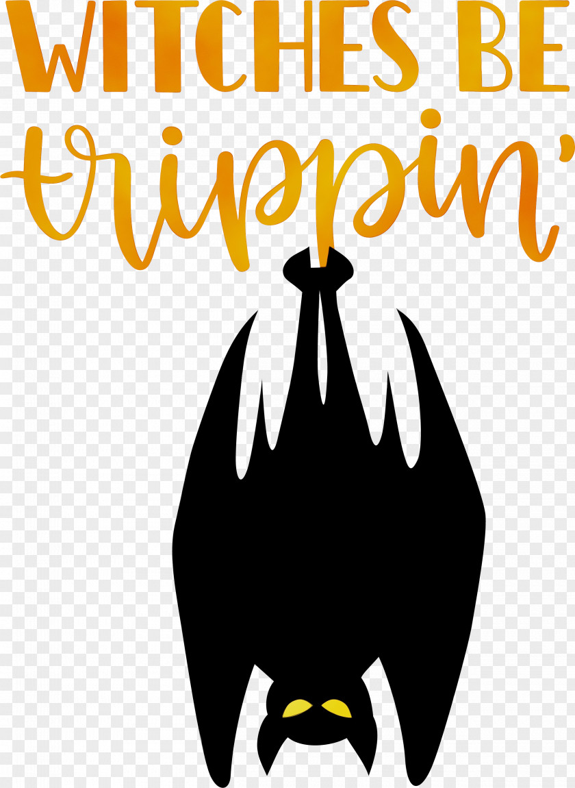 Birds Flightless Bird Logo Beak Line PNG