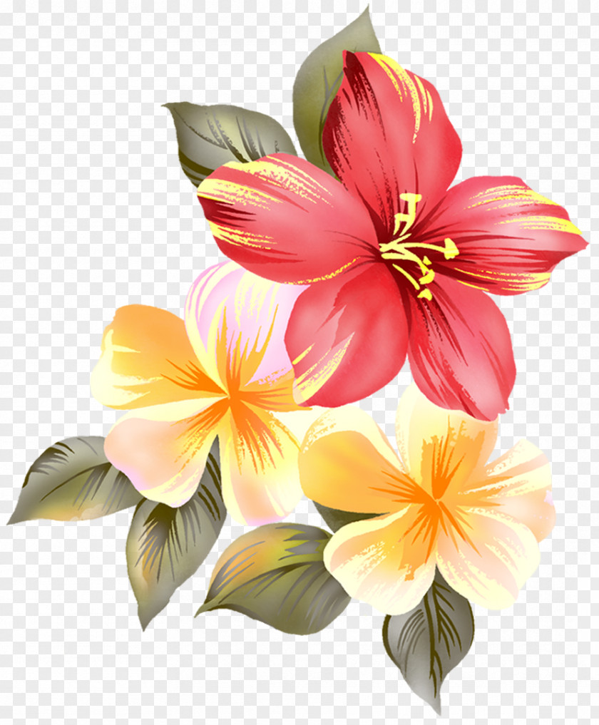 Bouquet Of Flowers Flower Render PNG