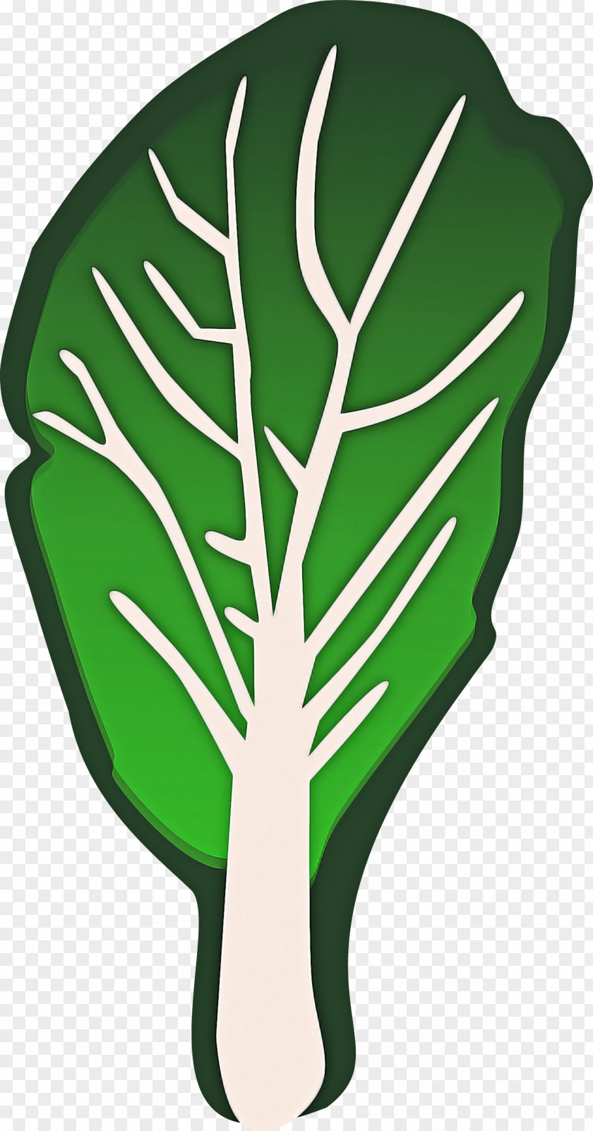 Green Leaf Monstera Deliciosa Plant Vegetable PNG