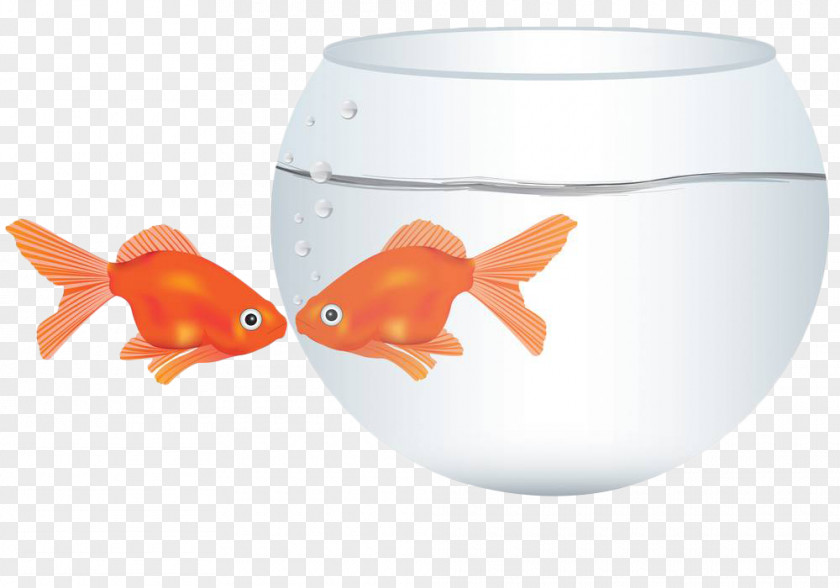 Hand Painted Kissing Fish Goldfish Gourami Illustration PNG