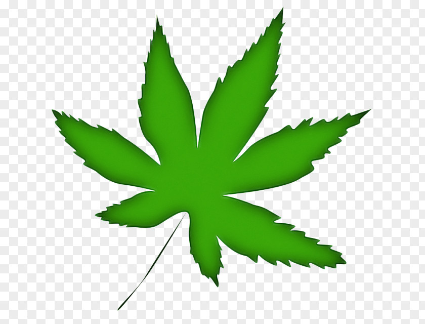 Hemp Weed PNG