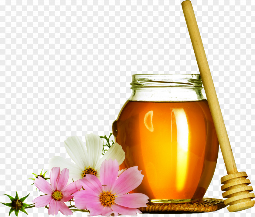 Honey Bee Chrysanthemum Tea Juice PNG