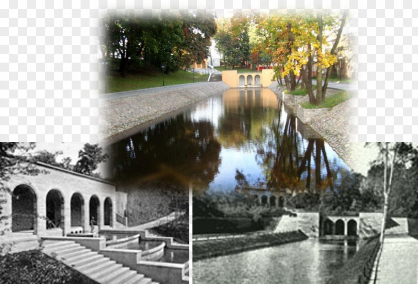 Kaliningrad Upper Pond Water Resources Natatorium Recreation Garden PNG