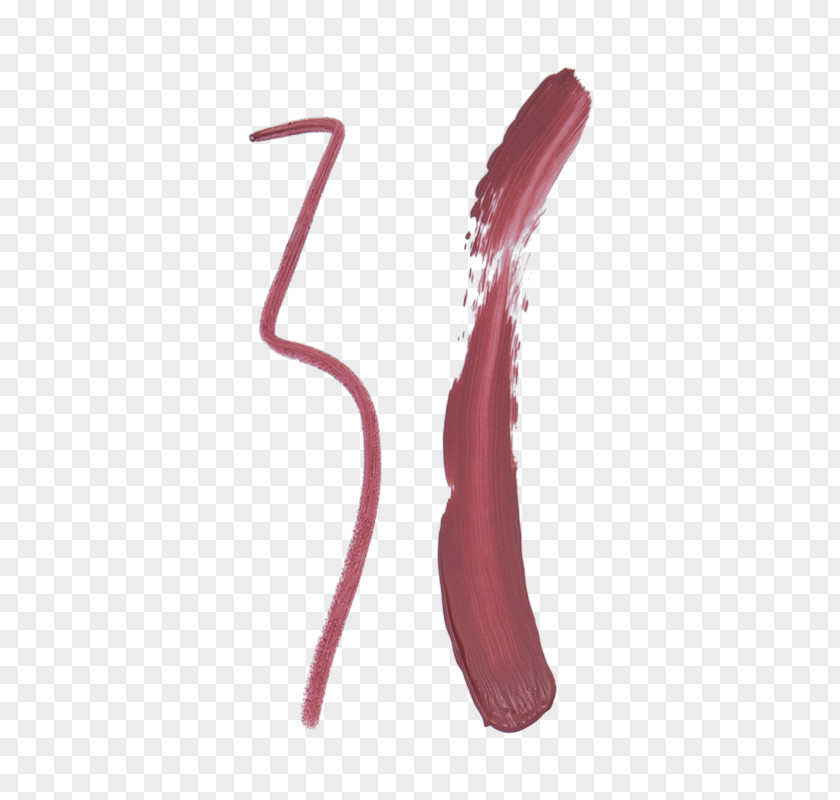 Lipstick Swatch Brush Lip PNG