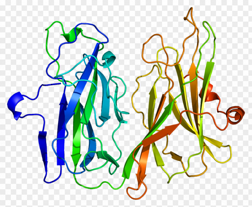 Peptidylglycine Alpha-amidating Monooxygenase Enzyme Protein PNG